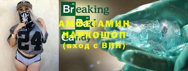 индика Очёр